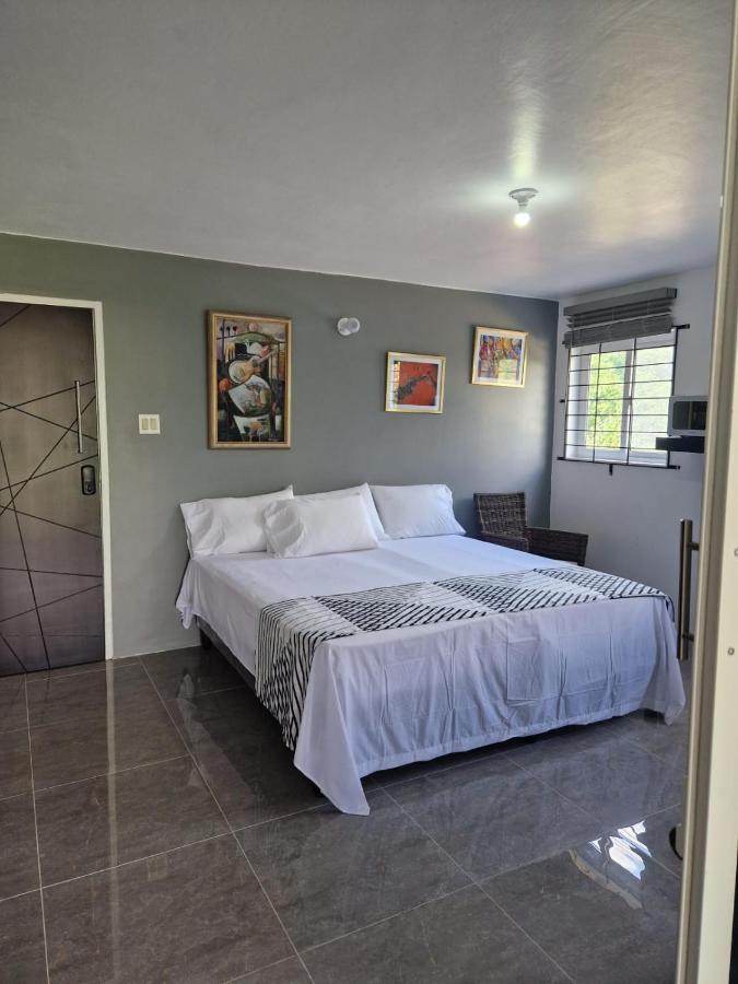 Amharic Hotel Kingston Bagian luar foto