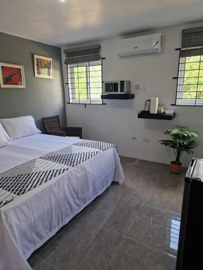 Amharic Hotel Kingston Bagian luar foto