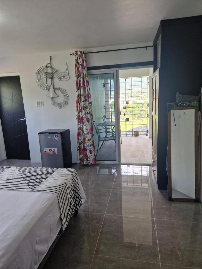 Amharic Hotel Kingston Bagian luar foto