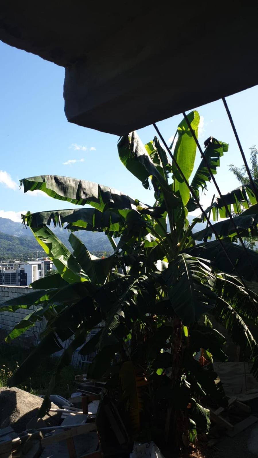 Amharic Hotel Kingston Bagian luar foto