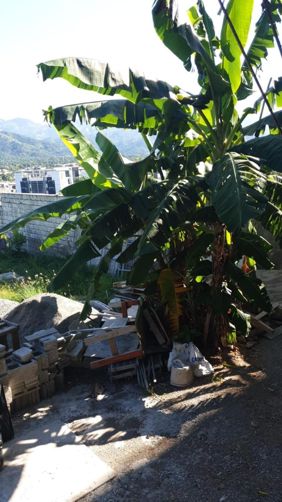 Amharic Hotel Kingston Bagian luar foto